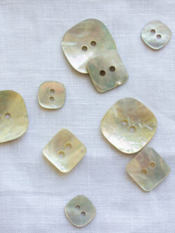 Square Shell Buttons