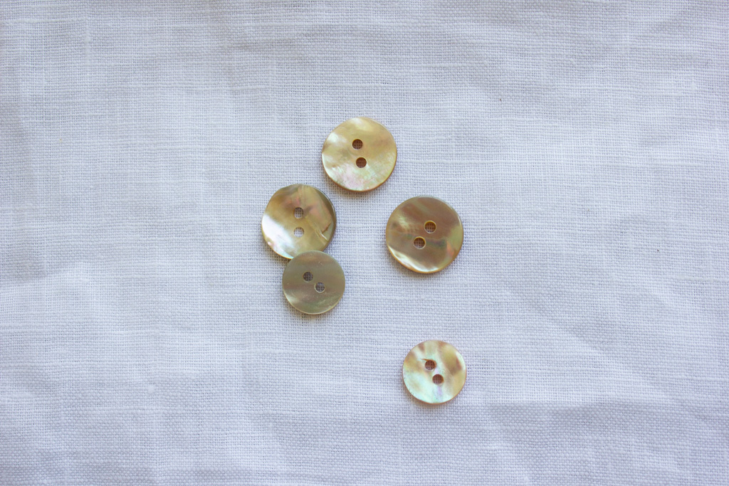 Trochus Shell Shank Buttons