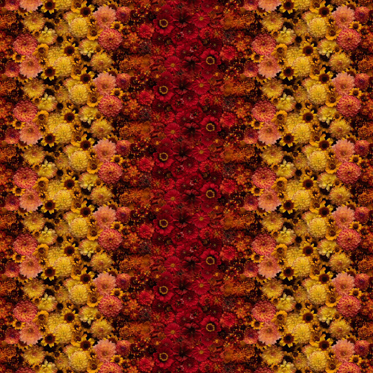 Stonemountain & Daughter Fabrics