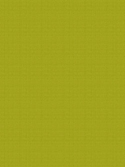 Yarn Dyed Cotton - Compass East - Chartreuse