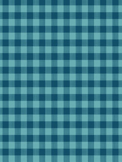 Yarn Dyed Cotton - Compass South - Tartan