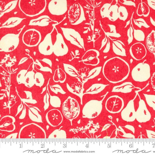 Quilting Cotton – Fruit Loop - Sun Dried - Rhubarb