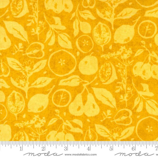 Quilting Cotton – Fruit Loop - Sun Dried - Sunshine