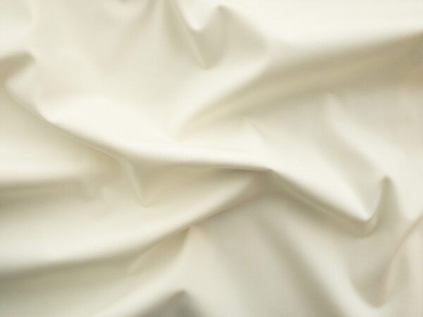 Pima Cotton Poplin - Ivory