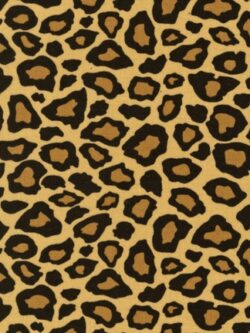 Quilting Cotton - Metro Living - Cheetah - Earth