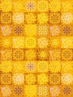 Quilting Cotton - Dream Big Tiles - Gold Ochre