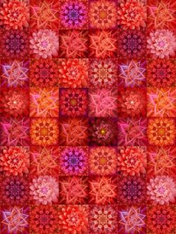 Quilting Cotton - Dream Big Tiles - Flame