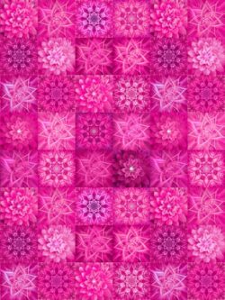 Quilting Cotton - Dream Big Tiles - Magenta