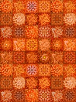 Quilting Cotton - Dream Big Tiles - Persimmon