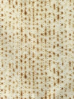 Quilting Cotton - Passover Matzoh