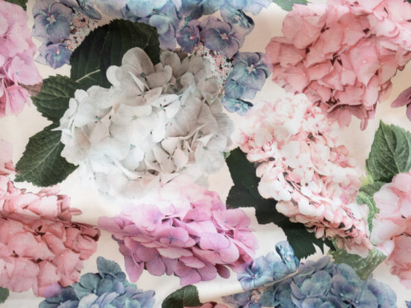 Lady McElroy – Cotton Lawn – Hydrangea Story - Blush Pink