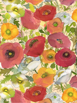 Quilting Cotton - Poppy Dreams - Large Poppies - Pale Peach