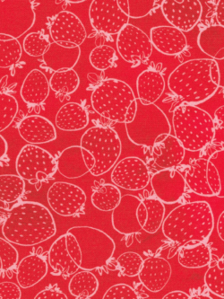 Quilting Cotton - Strawberry Season - Sketch - Cranberry