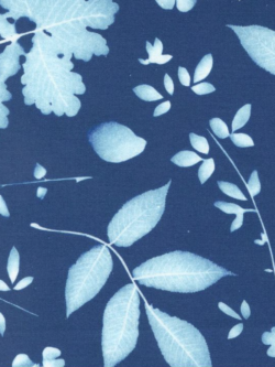 Quilting Cotton -  Bluebell - Cyanotype Floral - Prussian Blue