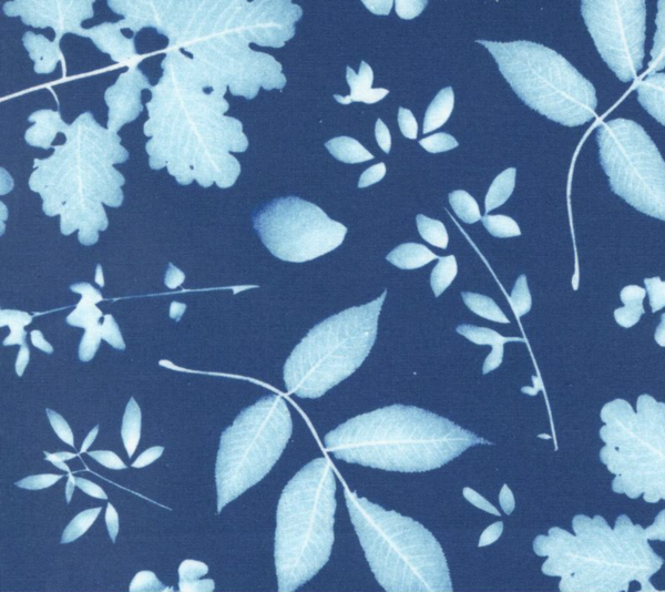 Quilting Cotton -  Bluebell - Cyanotype Floral - Prussian Blue