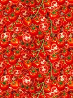 Quilting Cotton - Homestead Harvest - Tomatoes