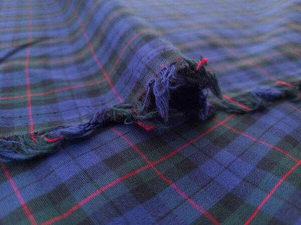 Lady McElroy - Berwick Cotton Lawn - Tartan Check