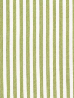 Premium Yarn Dyed Cotton - Stripe - Green/White