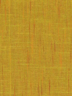 Premium Yarn Dyed Cotton - Slub Solid - Yellow