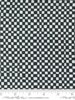 Quilting Cotton – Noir - Midnight Ghost - Check