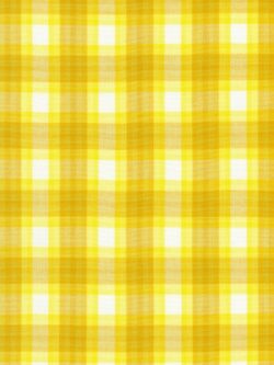 Kitchen Window Wovens - Yarn Dyed Cotton - Plaid - Citrus