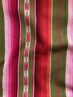 Heavyweight Yarn Dyed Cotton Stripe - Pink/Green