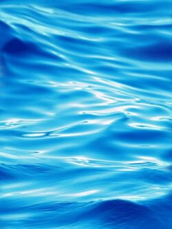 Quilting Cotton – Sea World - Rippling Waves - Blue