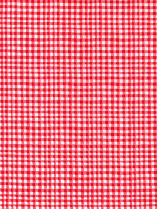 Gingham Play: Asparagus Gingham Play: Asparagus