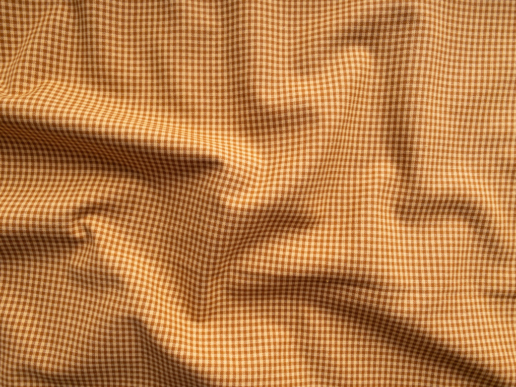Yarn Dyed Cotton – Micro Gingham – Cornucopia