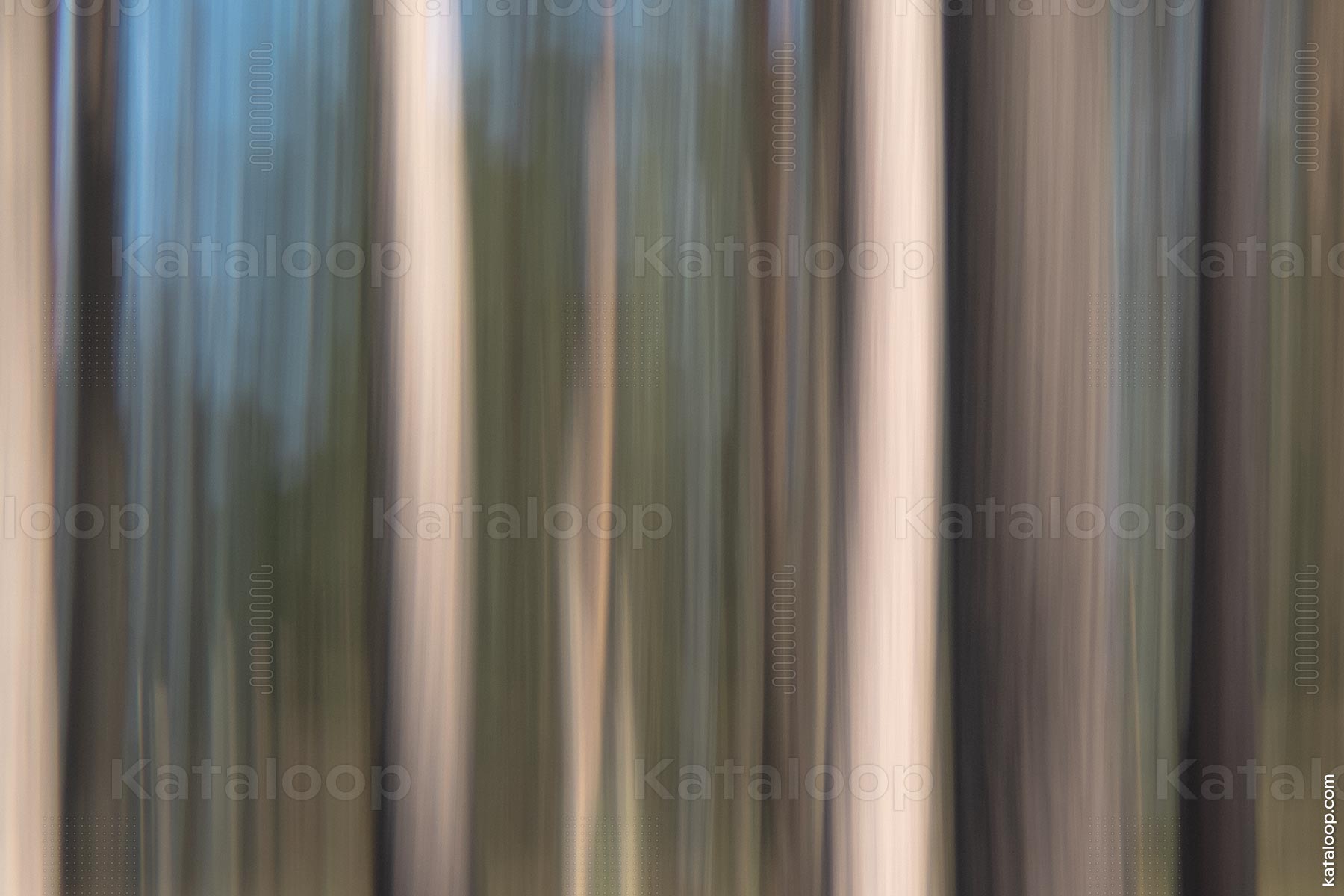 Abstrakter Wald mit Bewegungsunschärfe