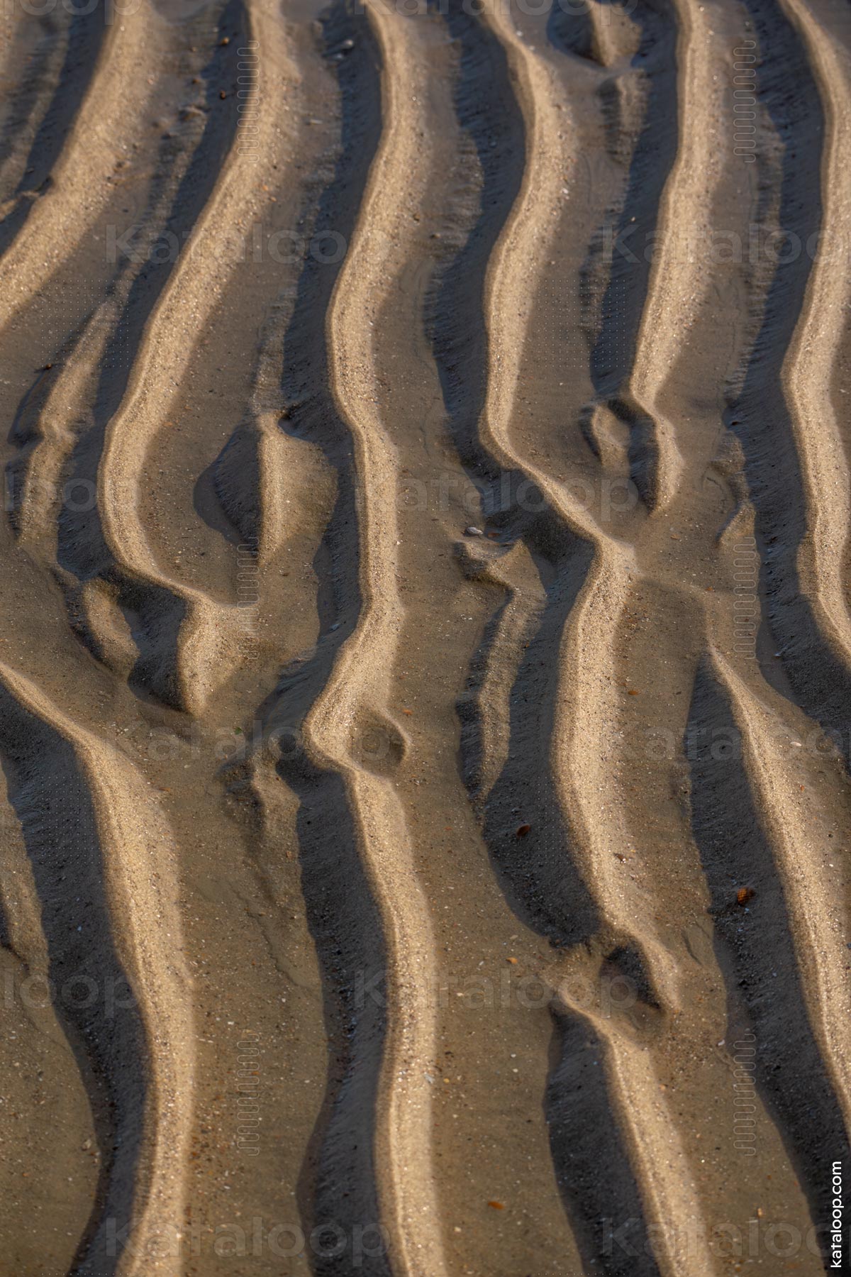 Abstrakte Muster im Sand bei Ebbe am Strand