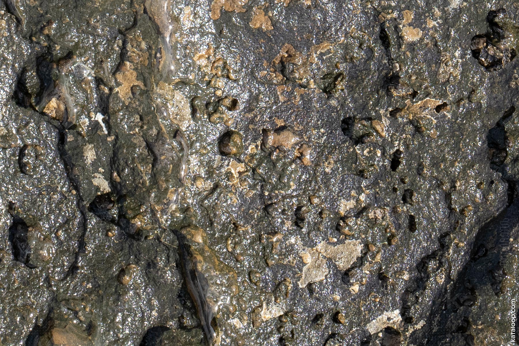 Close-up texture of rocky surface with cracks