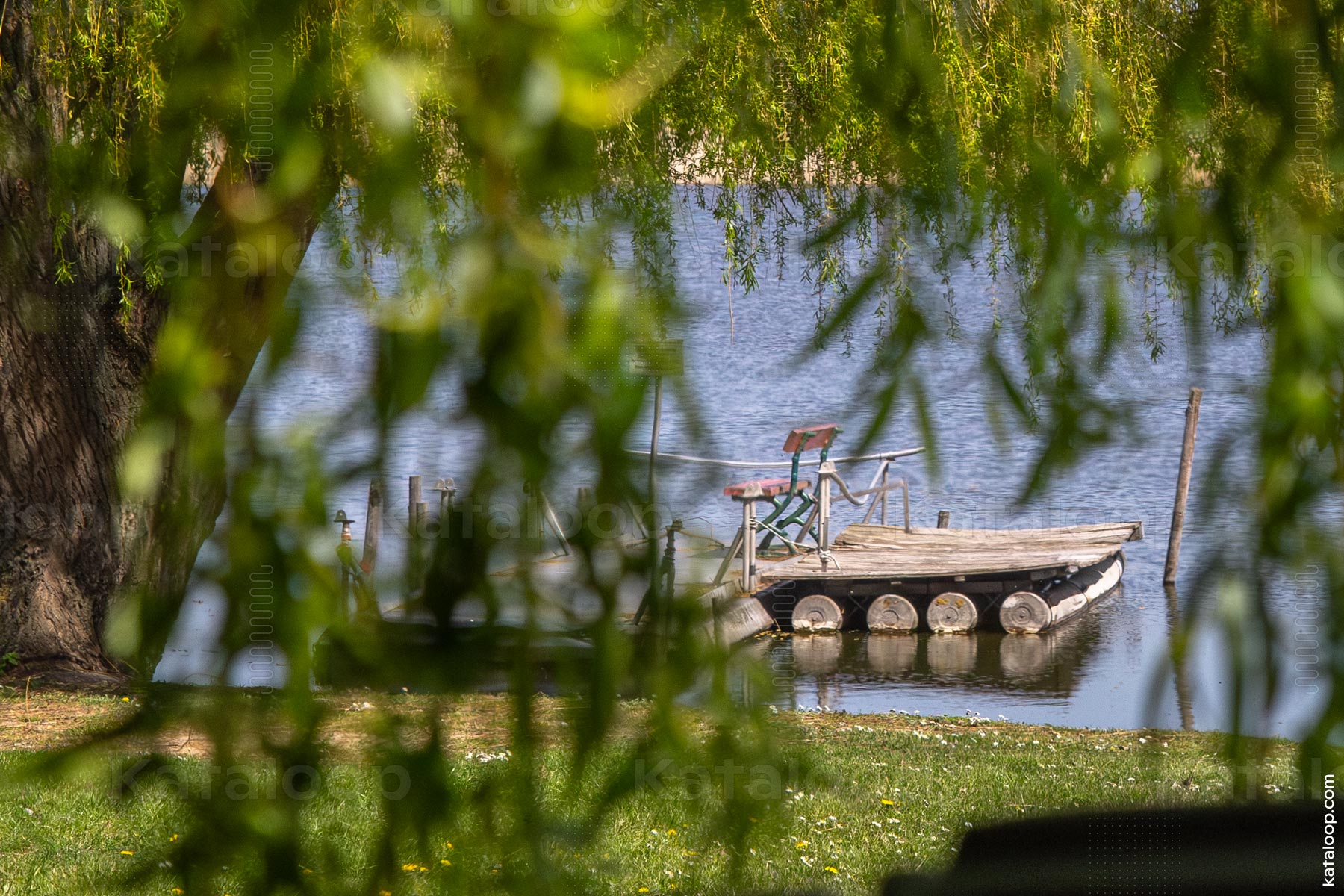Serene lakeside view with caravan and willow tree