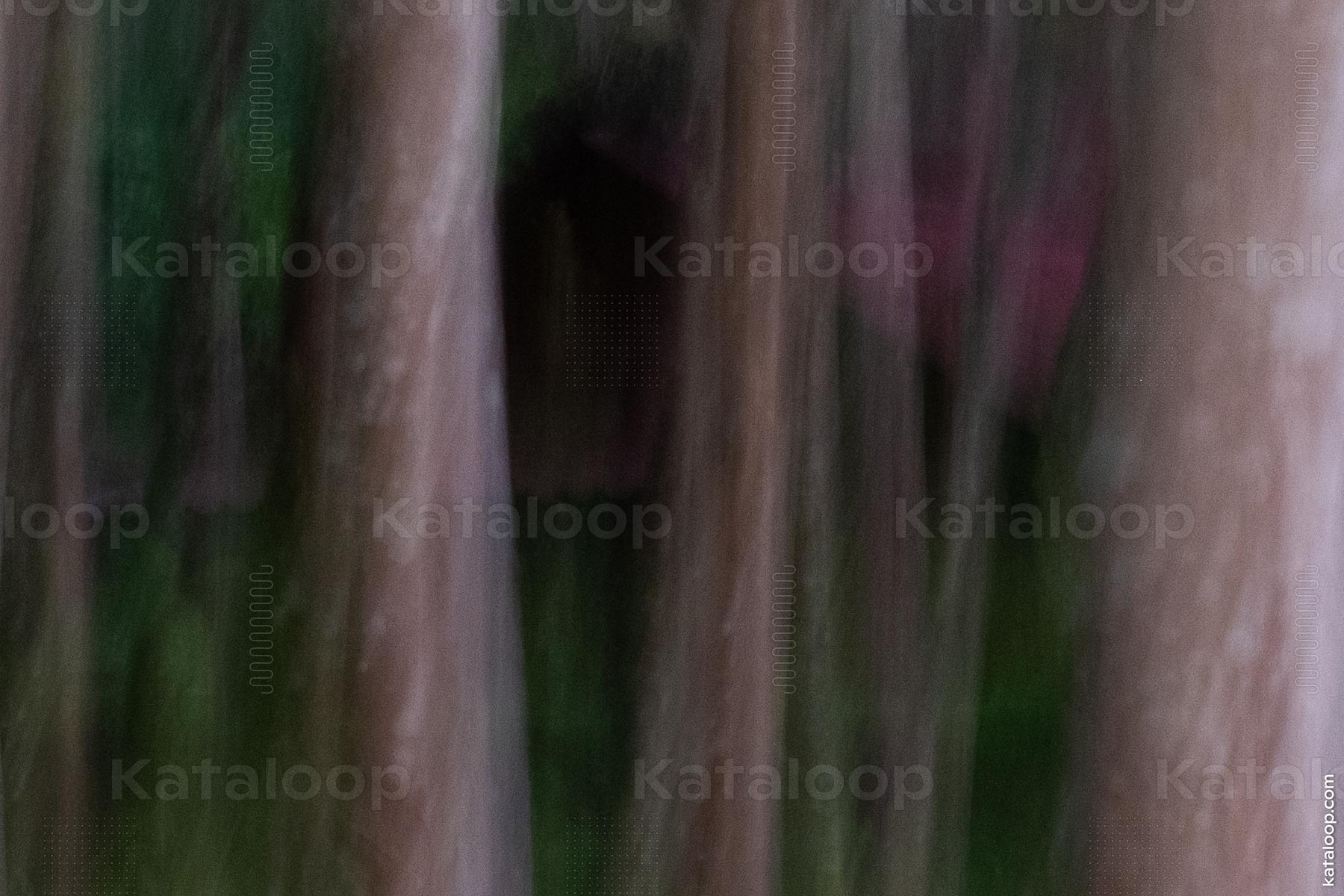 Blurred forest with abstract tree patterns