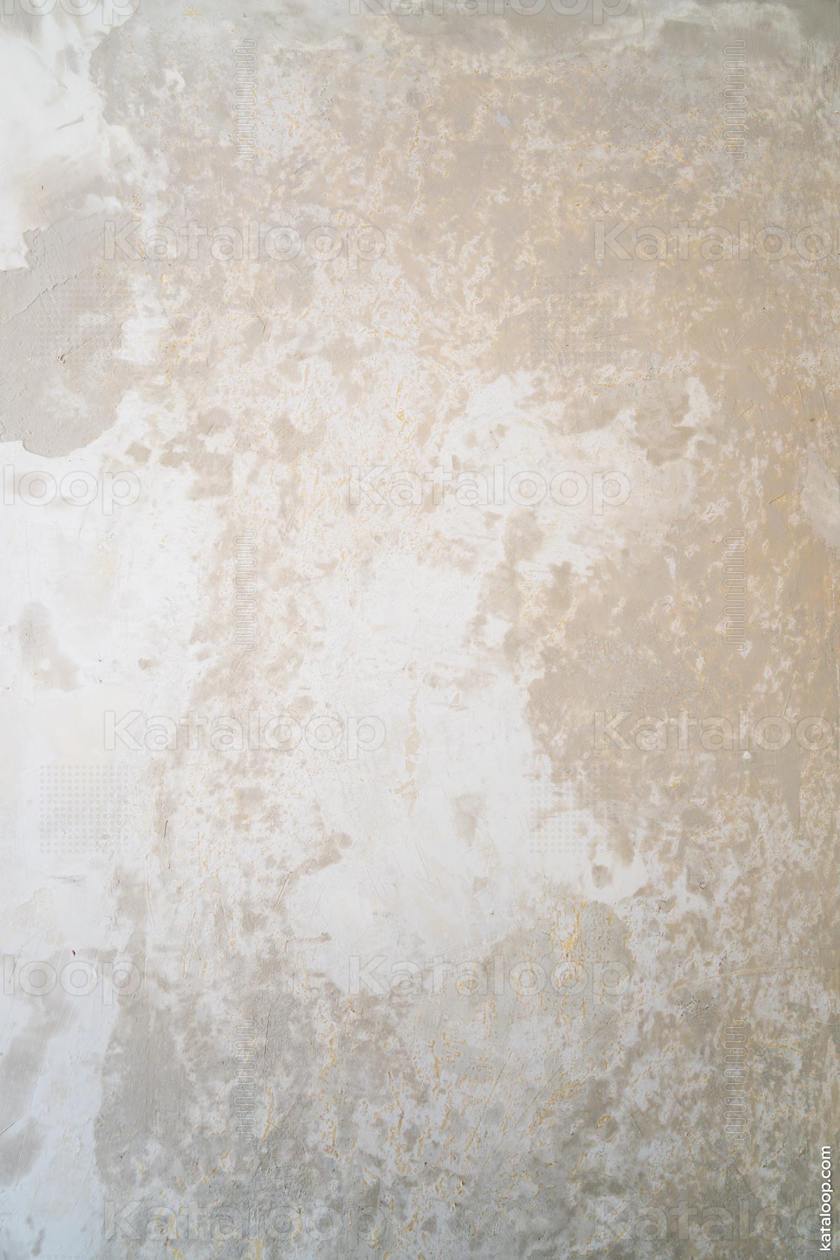 This image showcases a close-up view of a textured plaster wall. The surface is characterized by a mix of rough and smooth areas with subtle color variations, creating an abstract pattern. The presence of light and shadow adds depth to the visual texture.