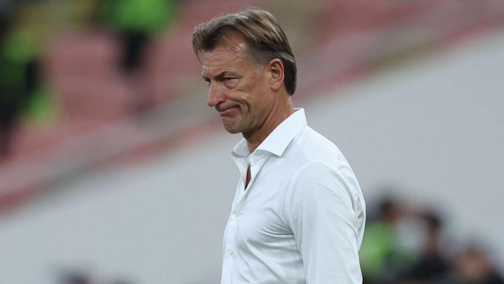 Renard apoya a las promesas saudíes en Qatar