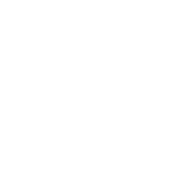 NetApp Inc