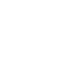 AbbVie Inc