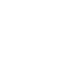 American Water Works Co Inc