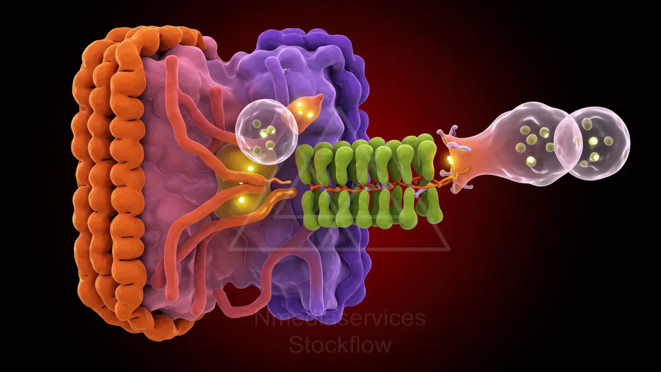 46 Micro 00 Virus on Membrane
