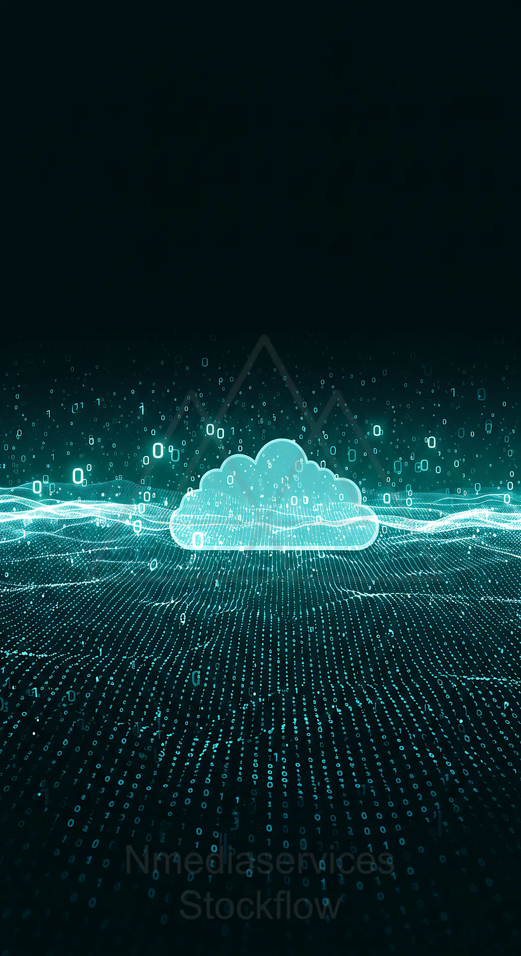 05 Binary Cloud data 07