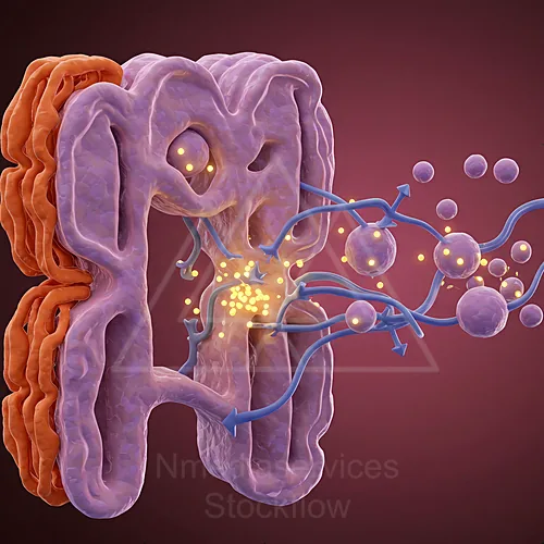 Illustration of virus particles interacting with and entering a cellular membrane — 8K royalty-free microscopic stock photo