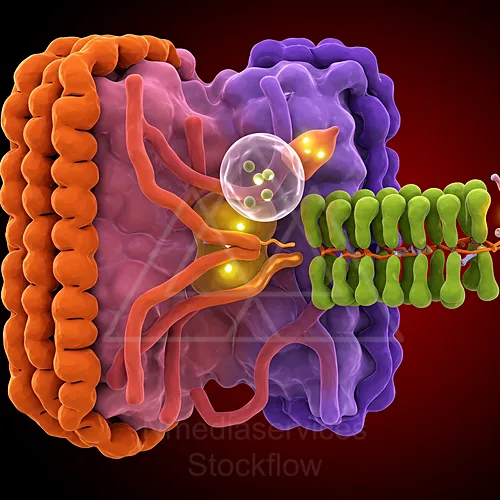 A vivid 3D rendering of a virus attached to and interacting with a cell membrane — 8K royalty-free microscopic stock photo