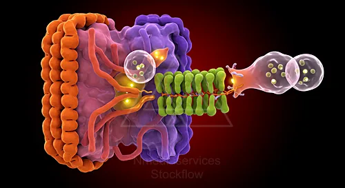 Colorful 3D illustration of a virus attaching to and budding from a cell membrane — 8K royalty-free microscopic stock photo