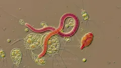 Micro world scene with protozoa and a rotifer among algae in a pond water sample — 8K royalty-free microscopic stock photo