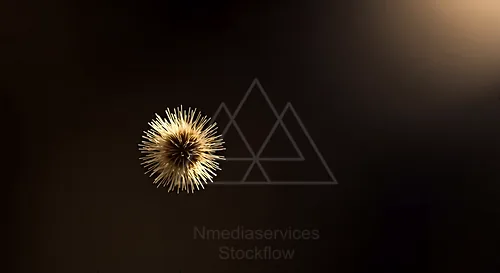 A single grass pollen–like spherical burst of golden spikes illuminated against a dark background — 8K royalty-free microscopic stock photo