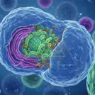Colorful 3D render of a cell with its inner organelles, featuring green mitochondria and purple membranous structures — 8K royalty-free microscopic stock photo