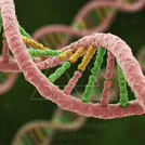 Close-up illustration of a DNA double helix with pink and green strands intertwined, highlighting the molecular structure — 8K royalty-free microscopic stock photo