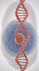 3D illustration of a cell with a prominent DNA double helix inside the nucleus — 8K royalty-free microscopic stock photo
