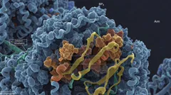 Colored electron-micrograph showing a cell surface with tangled proteins and labeled molecular components — 8K royalty-free microscopic stock photo